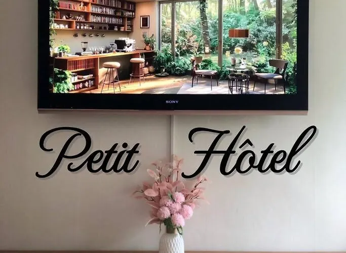 Lovely Petit Comfy And Cozy Typical Korean Style Apartment